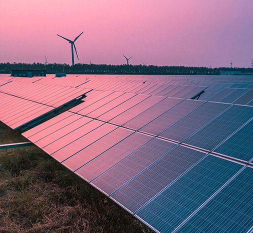 Vertical farming Vertical farming